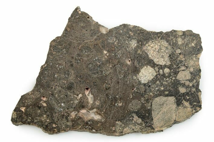 Eucrite Meteorite ( g) Slice - NWA #247018